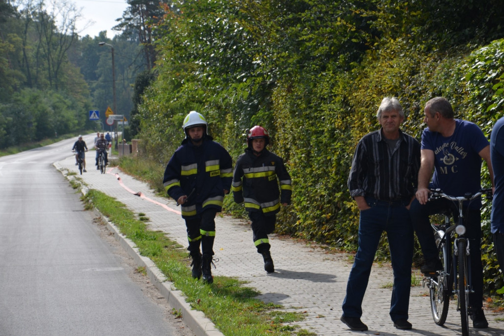 Krotoszyn. Strażacy walczą z pożarem [ZDJĘCIA] - Zdjęcie główne