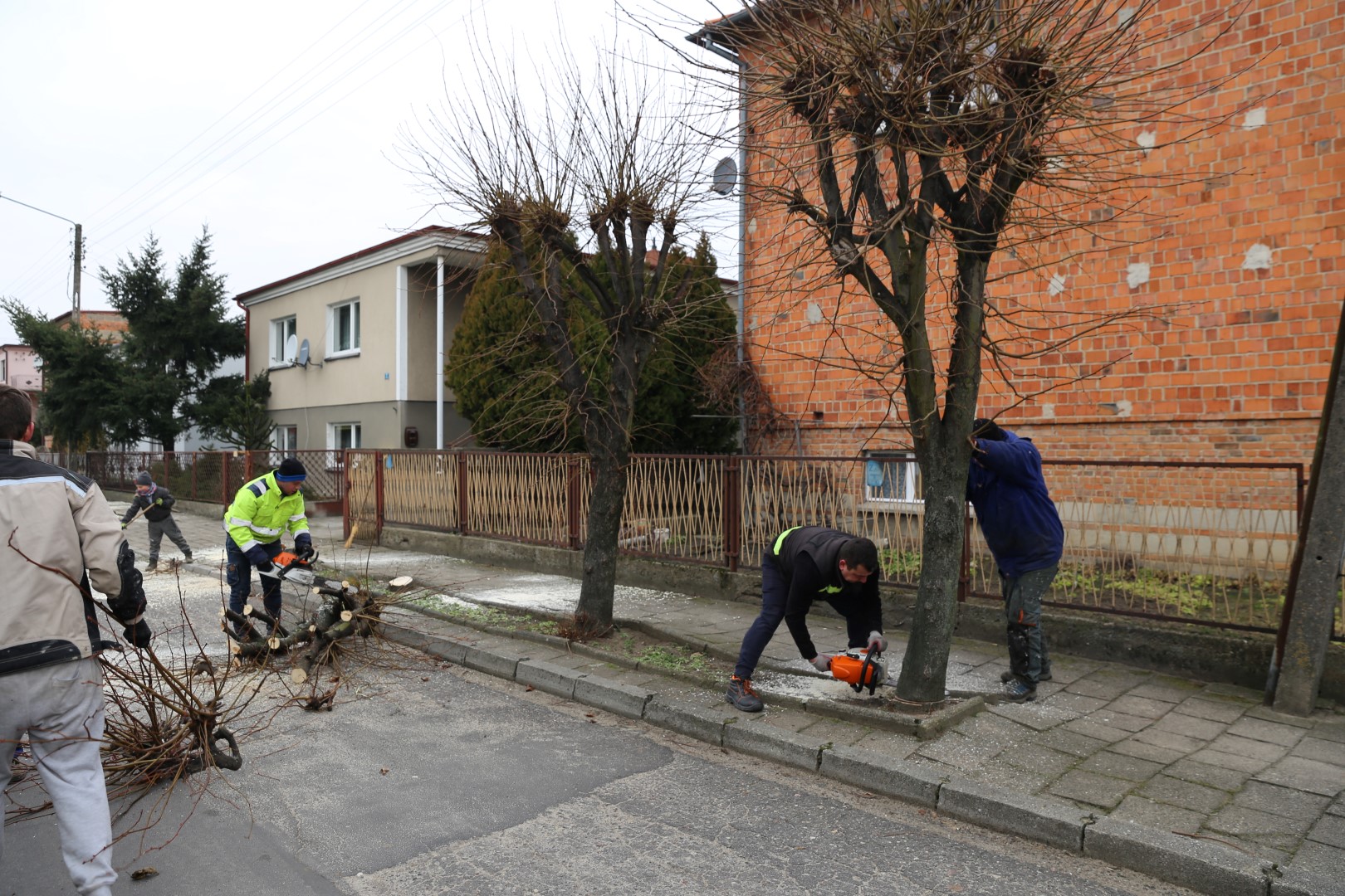 Wycinka drzew przy ulicy Umińskiego w Kobylinie