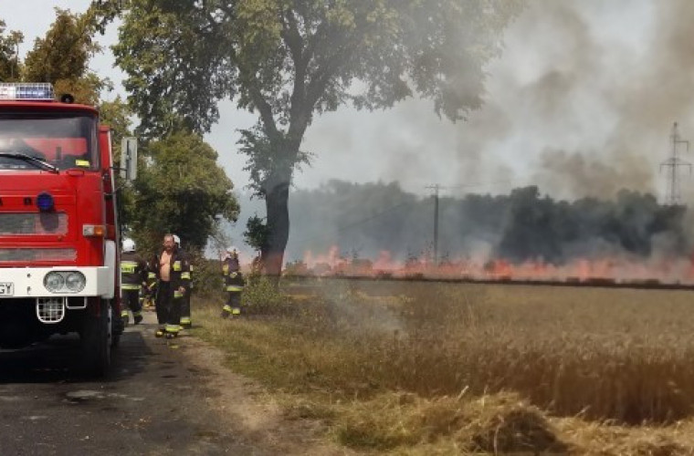 Kuklinów. Siedem jednostek straży walczy z ogniem - Zdjęcie główne