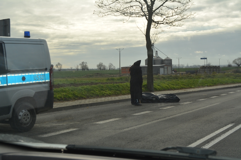 Krotoszyn. Śmierć na drodze [ZDJĘCIA i FILM] - Zdjęcie główne