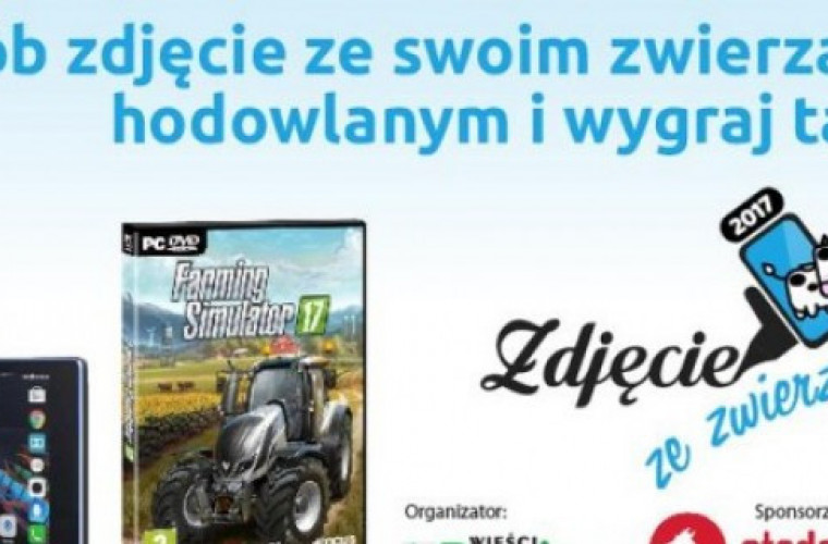 Zagłosuj na ulubione zdjęcie ze zwierzakiem! - Zdjęcie główne