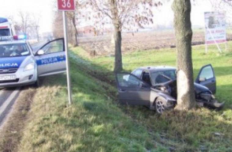 Biadki. BMW na drzewie - Zdjęcie główne