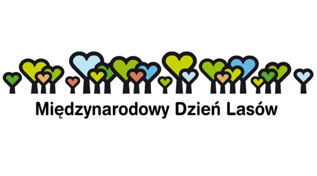 Międzynarodowy Dzień Lasów - Zdjęcie główne