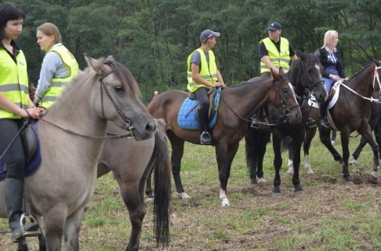 Wyścigi konne i tradycyjny kaczor w Smoszewie [ZDJĘCIA] - Zdjęcie główne