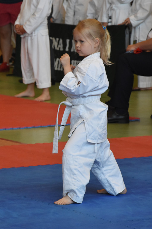 VI Turniej KARATE Szlakiem Templariuszy 2018 - Zdjęcie główne