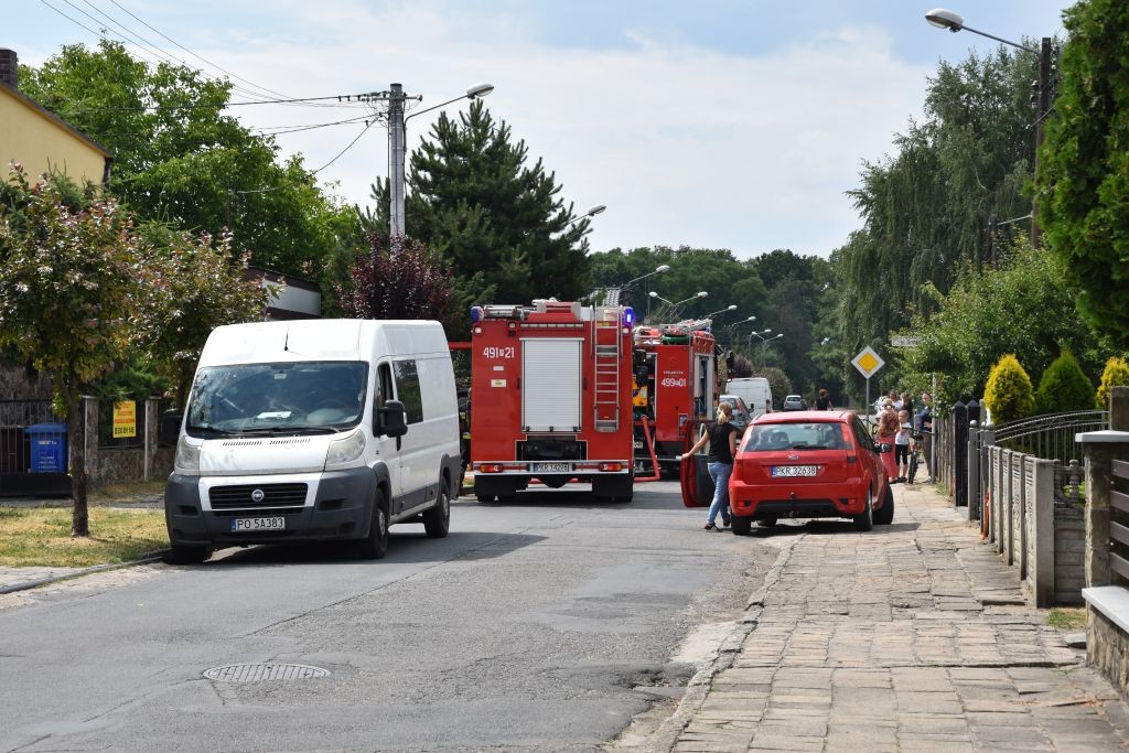 Uszkodzony gazociąg Kobylin - Zdjęcie główne