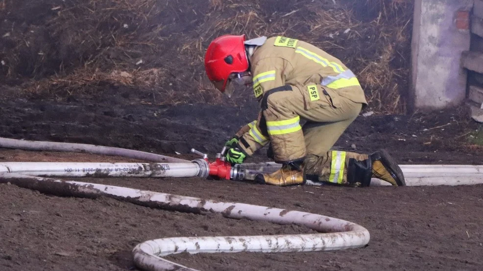 Krotoszyn. Pożar składu budowlanego. 14 zastępów straży pożarnej w akcji - Zdjęcie główne