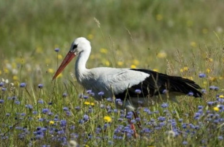 Konkurs! Do wygrania m.in. aparat fotograficzny! - Zdjęcie główne