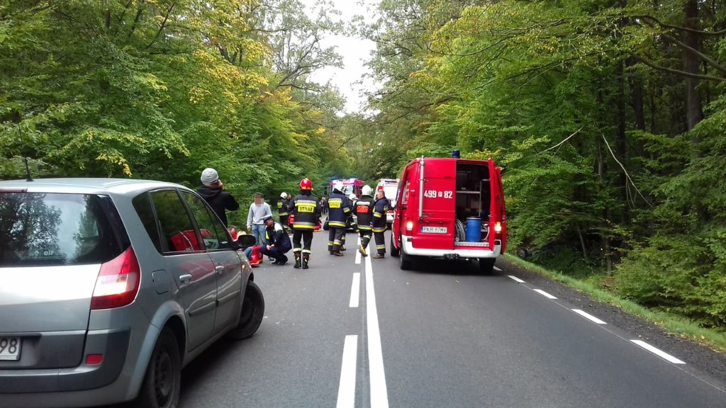 Wypadek Sulmierzyce - Krotoszyn - Zdjęcie główne