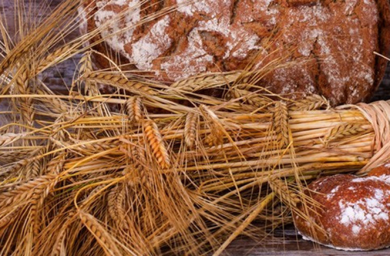 Lutogniew. Dziś powiatowe święto plonów - Zdjęcie główne