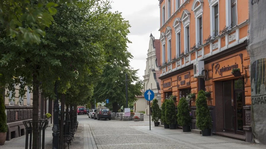 Krotoszyn. Wytną kilka drzew na Rynku. W ich miejsce pojawią się nowe - Zdjęcie główne