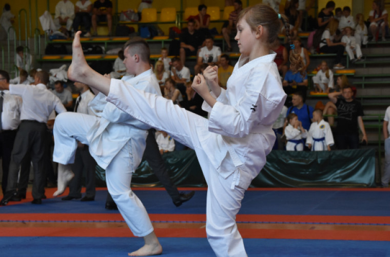 Karate po koźmińsku, czyli VI Turniej Szlakiem Templariuszy [FOTO] - Zdjęcie główne