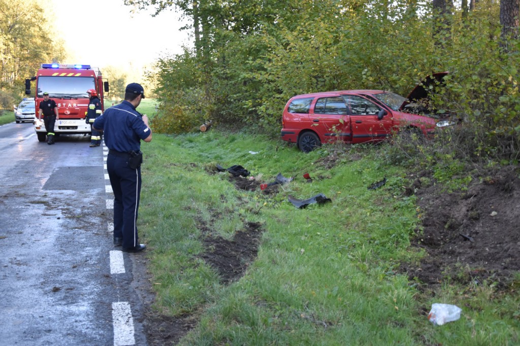 Wypadek Sulmierzyce - Odolanów - Zdjęcie główne