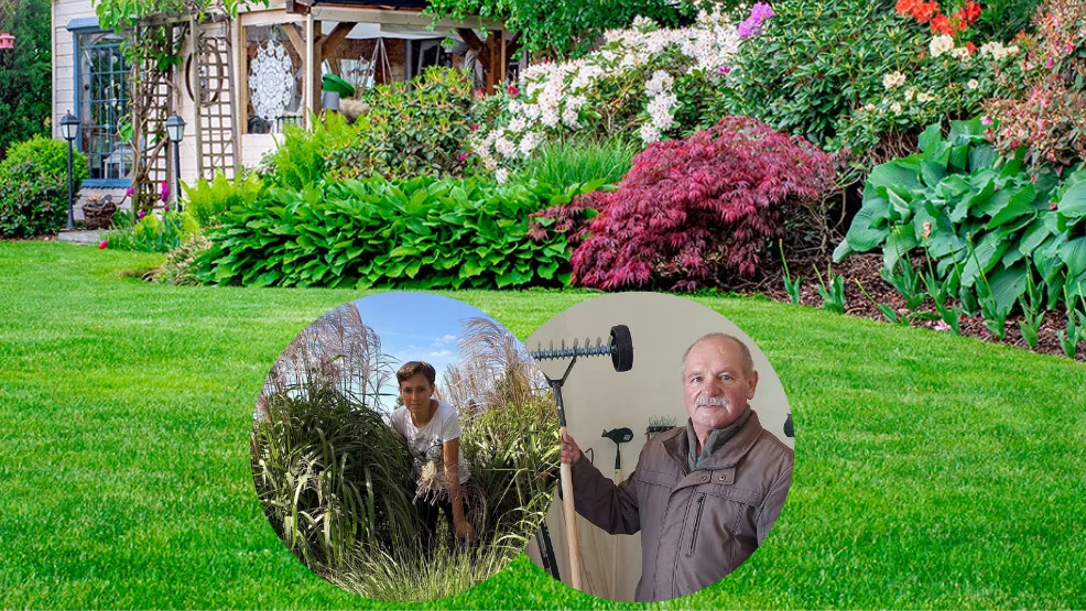 Jak dbać o trawnik na wiosnę - Zdjęcie główne