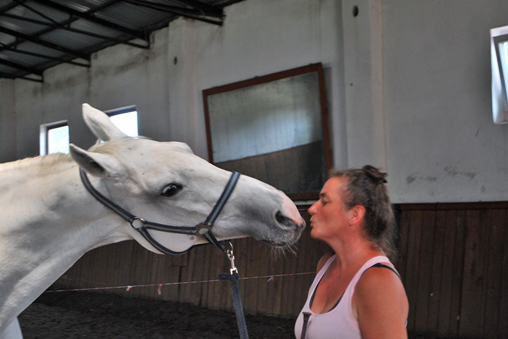 Specjalistka od koniobowości czyli trenerka jeździectwa naturalnego - Zdjęcie główne