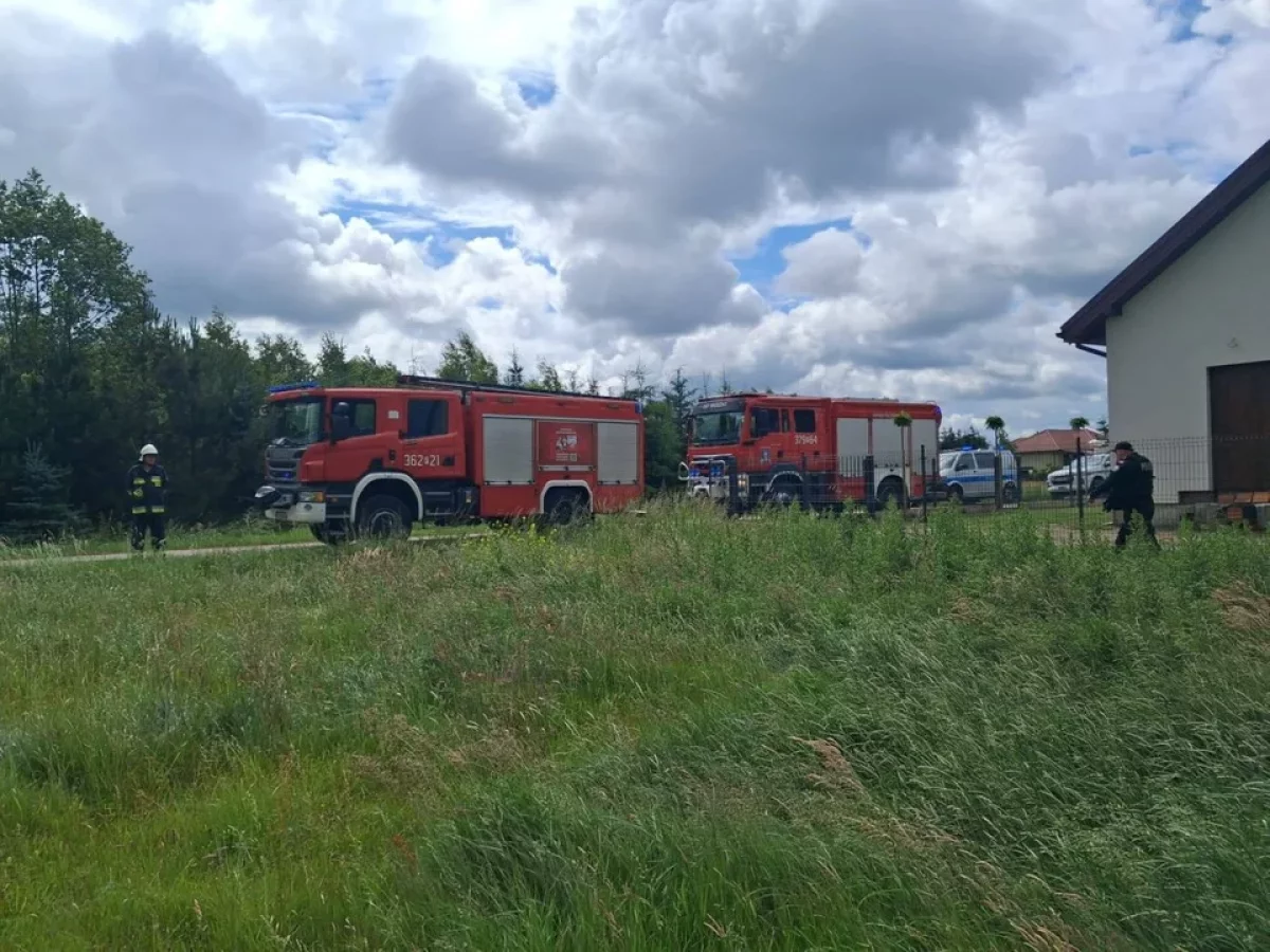 Tragedia na wybiegu dla koni. Prąd z zerwanej linii doprowadził do dramatu