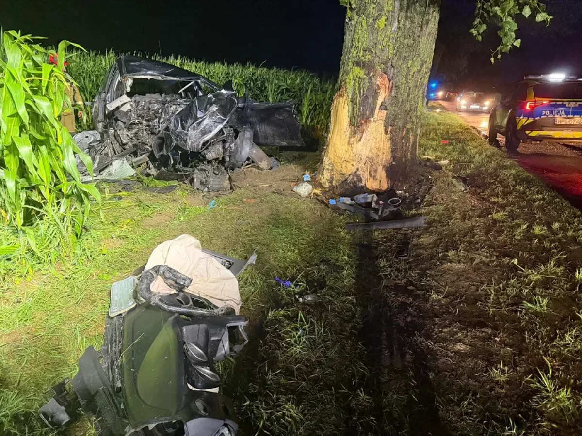 Uciekał przed policją, rozbił auto o drzewo. Nie żyje 24-latek