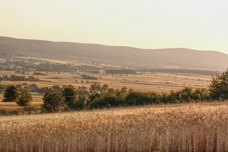 Obrazek do pytania - Łysa Góra to szczyt w
