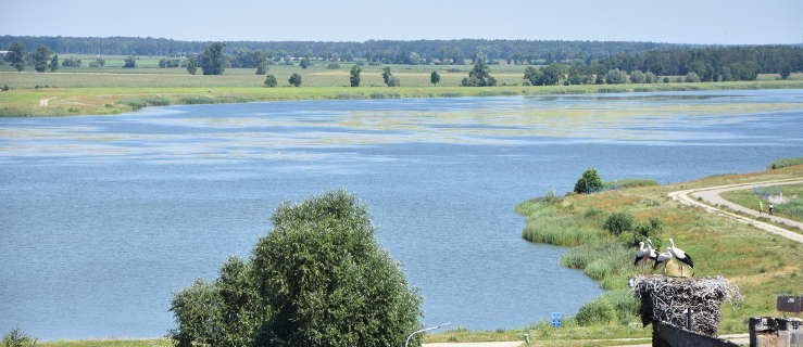 Burmistrz chce zmiany lokalizacji farm słonecznych. Co na to Wody Polskie? - Zdjęcie główne