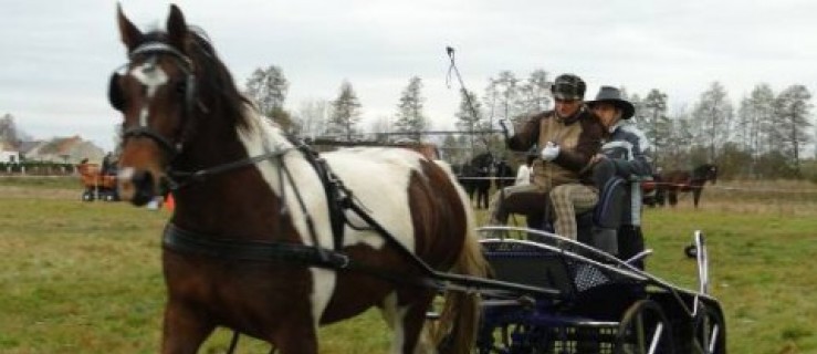 Walczyli o puchar sołtysowej - Zdjęcie główne