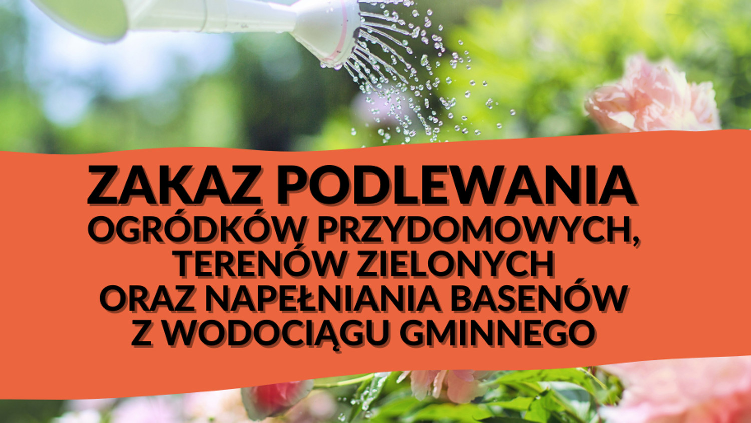 Zakaz podlewania ogrodów i napełniania basenów. Gdzie? - Zdjęcie główne