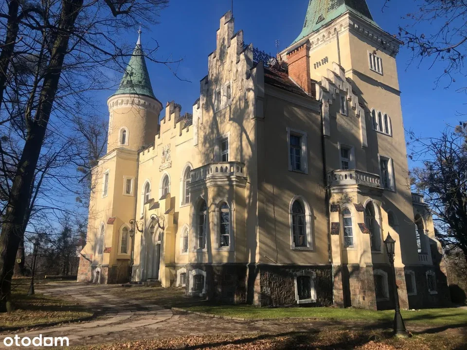 Neogotycki Pałac w Wielkiej Lipie woj. dolnośląskie, cena 5 500 000 zł. Neogotycki Pałac Elsenburg powstał w 1899 roku w miejscu dawnej rezydencji szlacheckiej dla Alfreda Waldenburga. Początki historii rezydencji w Wielkiej Lipie sięgają XVI wieku kiedy w miejscu obecnego pałacu wzniesiono dwór. Dwór miał charakter obronny i prawdopodobnie otoczony był fosą.  Pałac w obecnej formie został wzniesiony w 1899 roku z inicjatywy rodziny von Waldenburg-Wurben. Pałac pod koniec lat 90-tych został gruntownie wyremontowany i pełni obecnie funkcję prywatnej rezydencji. Park oraz pałac wpisane są do Rejestru Zabytków.