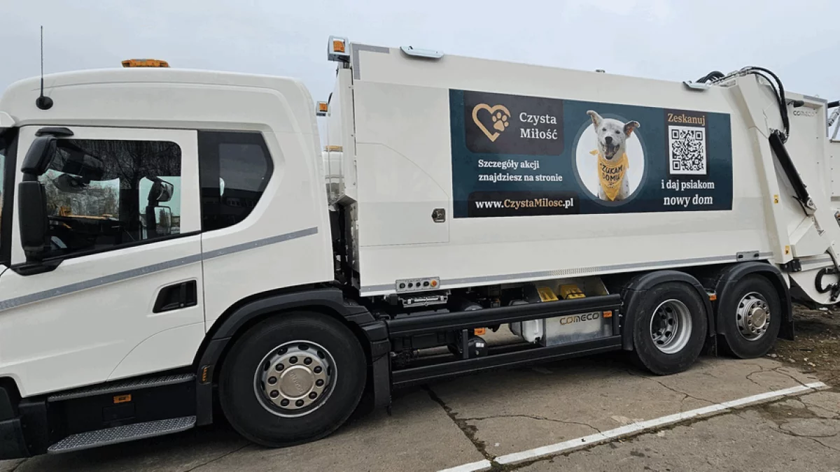 Rusza Akcja "Czysta Miłość" - adoptuj psa i zyskaj pakiet na start - Zdjęcie główne