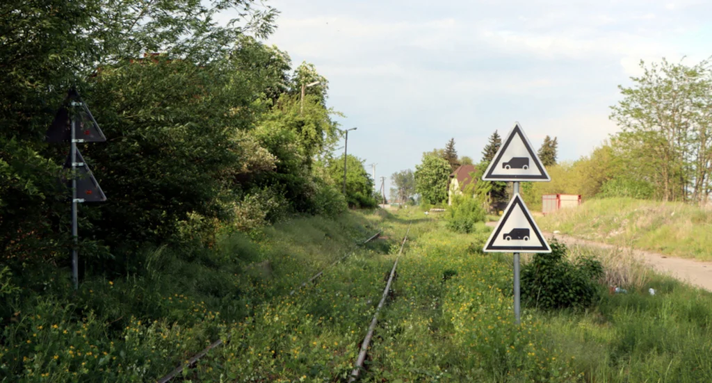 Jaka przyszłość czeka linię kolejową z Rawicza do Kobylina? Odpowiada PKP PLK - Zdjęcie główne