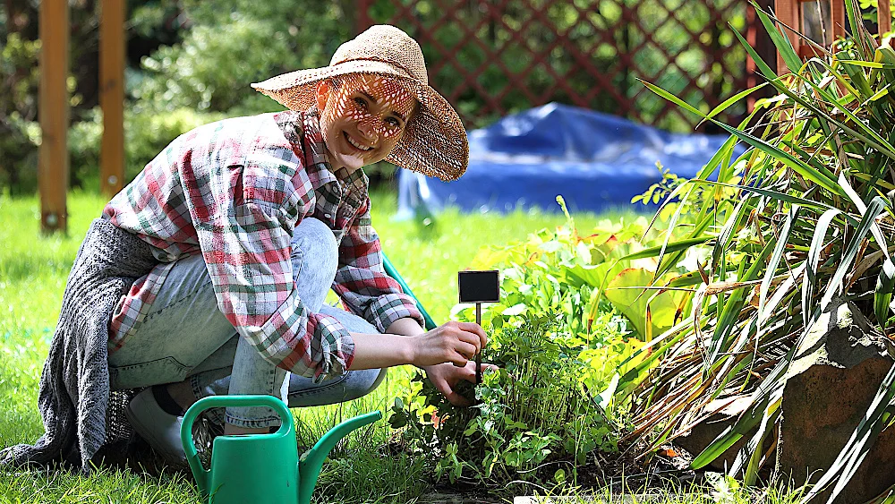 Konkurs na najpiękniejszy ogród w Jutrosinie - Zdjęcie główne