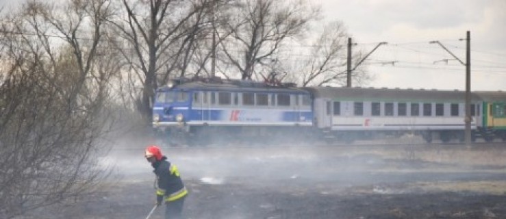 Strażacy gaszą pożar suchych traw - Zdjęcie główne