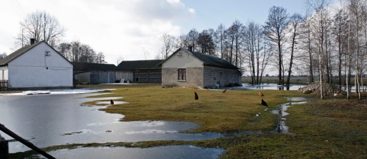 Dzielą tereny pod polder. Koniec z podtopieniami? - Zdjęcie główne