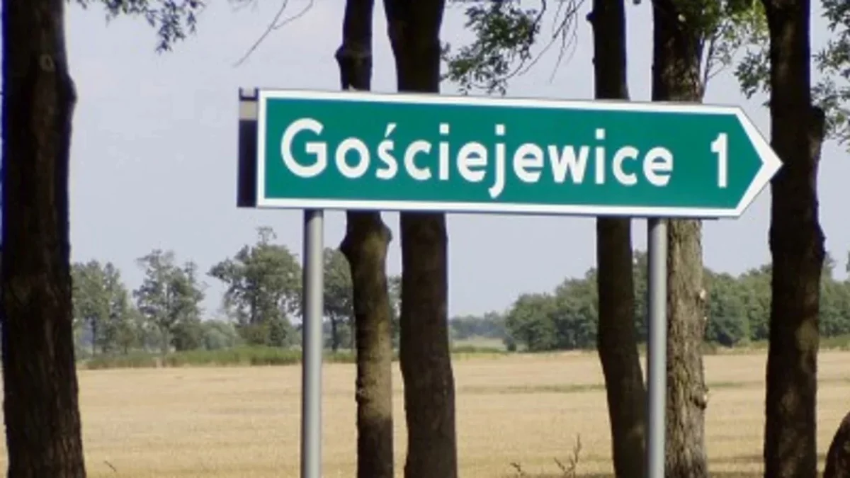 Gościejewice. Pod osłoną nocy złodzieje chcieli okraść strażaków ochotników [AKTUALIZACJA] - Zdjęcie główne