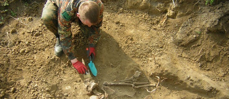 Odnaleziono mogiłę żołnierzy z czasów II wojny światowej - Zdjęcie główne