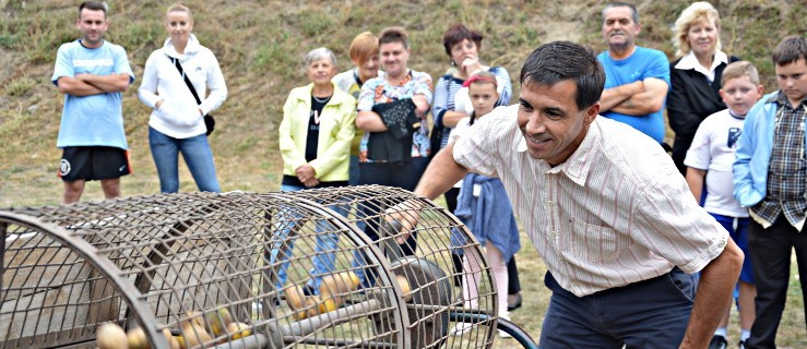 Burmistrz, zastępca i przewodniczący sortowali pyry - Zdjęcie główne