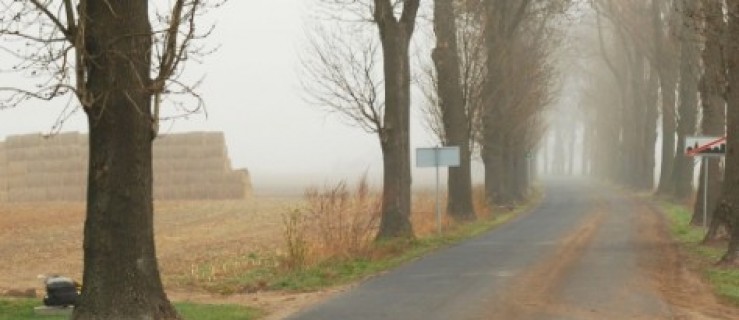 Kierowca, który potrącił mężczyznę nieznany - Zdjęcie główne