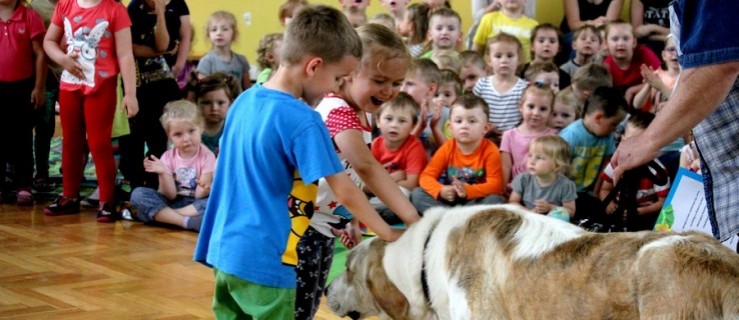 Burmistrz zaopiekował się psiną. W tym czasie przedszkolaki... - Zdjęcie główne