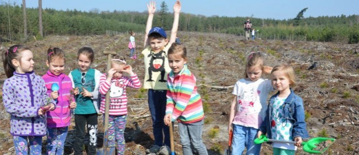 Rawickie przedszkolaki sadziły drzewa w Osieku - Zdjęcie główne