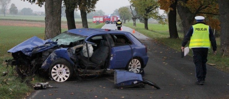 Wypadek na trasie Zaborowice - Borszyn Wielki. Są poszkodowani [FOTO] - Zdjęcie główne