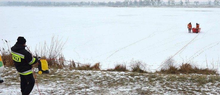 Martwe łabędzie na jutrosińskim zbiorniku - Zdjęcie główne