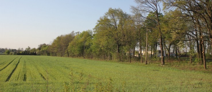 Kolejne hektary pod przemysł w Rawiczu. Tym razem 50 - Zdjęcie główne