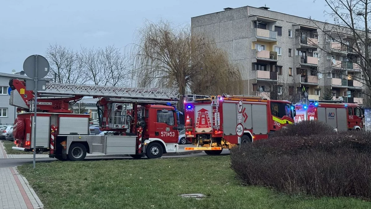 Pożar w Kątach, zadymienie w bloku w Rawiczu, paląca się sadza i plama oleju na jezdni - Zdjęcie główne