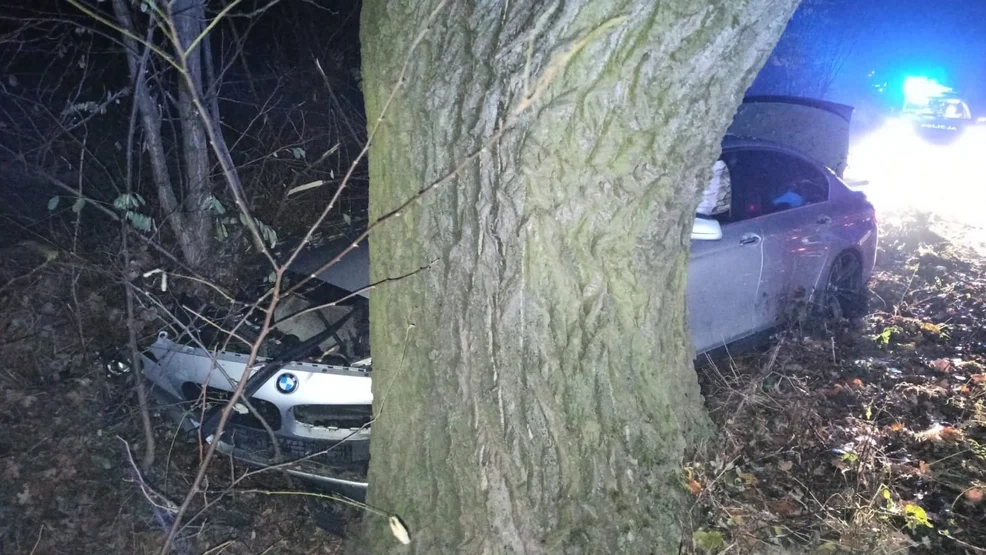 Autem uderzył w drzewo - Zdjęcie główne