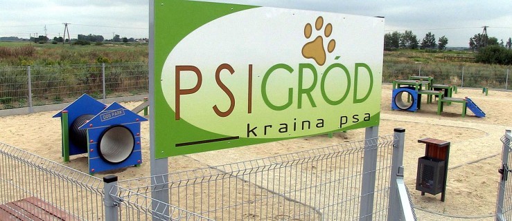 PSIGRÓD - plac zabaw dla... psów powstał w Żmigrodzie - Zdjęcie główne