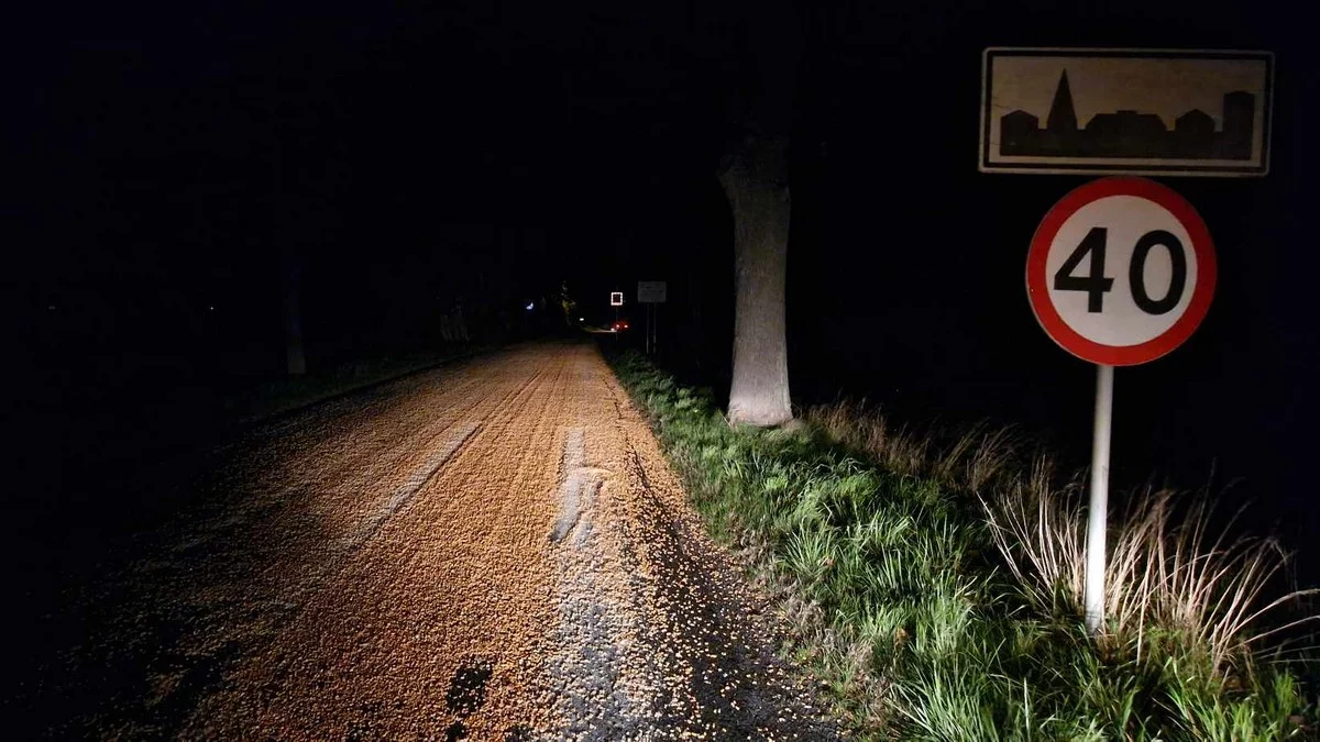 Bojanowo. Kukurydza rozsypana na drodze. W akcji strażacy i policjanci - Zdjęcie główne