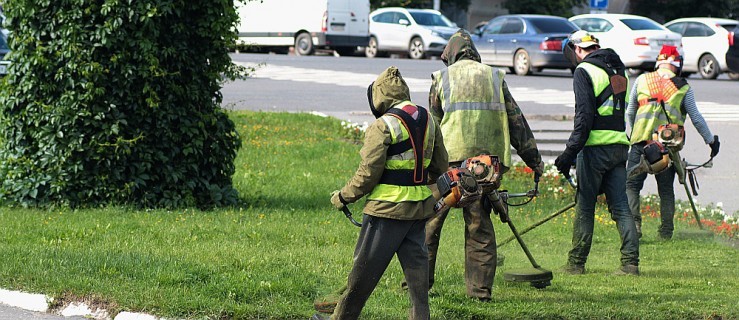 Gmina zatrudni ponad 20 osób - Zdjęcie główne