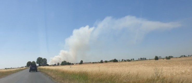 Duży pożar zboża na pniu w okolicy Zakrzewa [aktualizacja] - Zdjęcie główne
