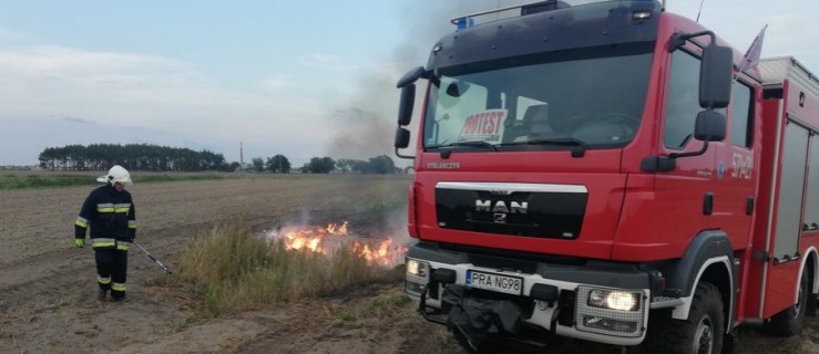 Nieodpowiedzialne zachowanie dorosłych? Paliły się suche trawy - Zdjęcie główne