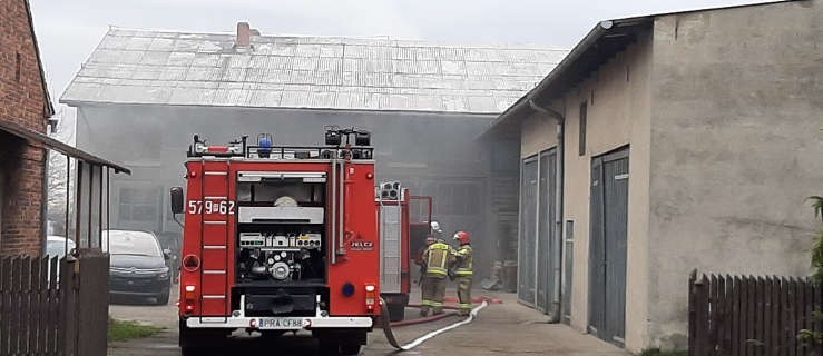 Pożar w budynku gospodarczym w Chojnie (FOTO) - Zdjęcie główne