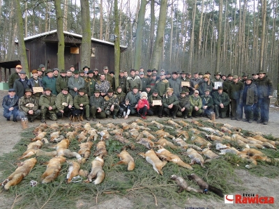 Powiatowe polowanie na drapieżniki w Osieku - Zdjęcie główne