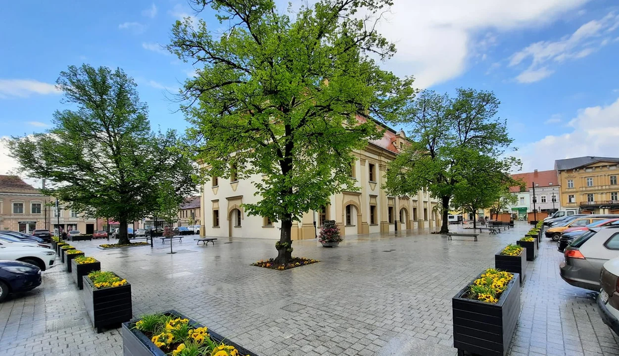 Brak chętnych na ogródek wiedeński na rawickim rynku - Zdjęcie główne